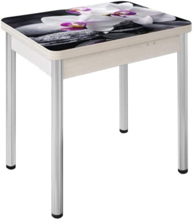 Стол раскладной Д29 с фотопечатью 800*600 (1200) h750 — Аэлита