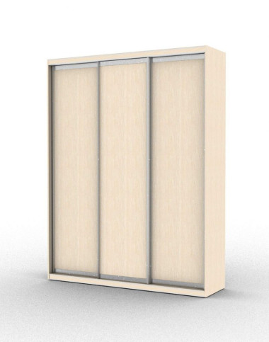 Шкаф-купе трехдверный без зеркал (модель 3.1) &mdash; Аэлита