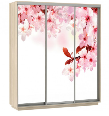 Шкаф-купе Экспресс фотопечать "Сакура" &mdash; Аэлита